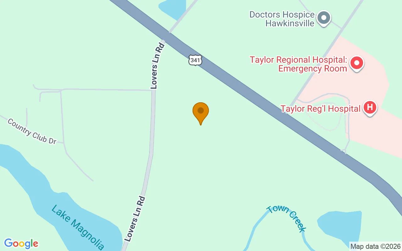 14.77 Acres in Hawkinsville - Pulaski County, GA in Pulaski County, Georgia