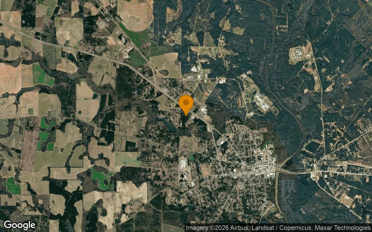 14.77 Acres in Hawkinsville - Pulaski County, GA in Pulaski County, Georgia