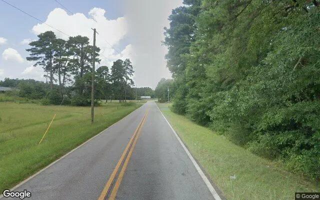 Decorative background for 14.77 Acres in Hawkinsville - Pulaski County, GA image 5