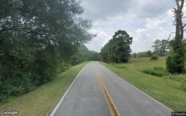 Decorative background for 14.77 Acres in Hawkinsville - Pulaski County, GA image 6