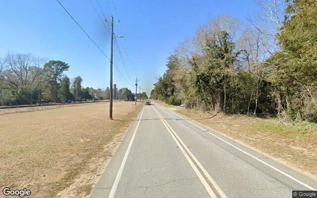 Decorative background for 0.12 Acres in Manassas - Tattnall County, GA image 5
