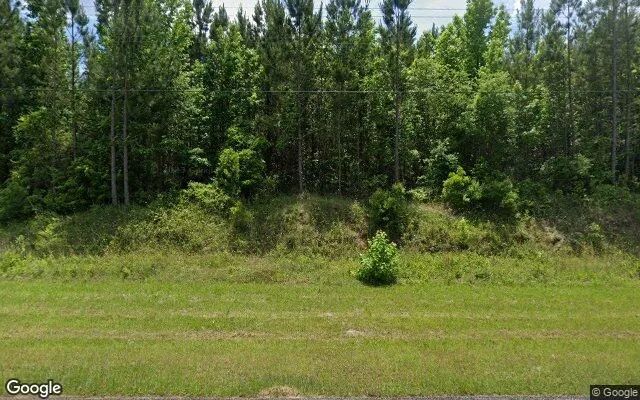 127.52 Acres in Dry Branch - Twiggs County, GA in Twiggs County, Georgia