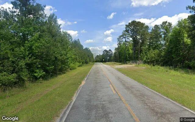 Decorative background for 127.52 Acres in Dry Branch - Twiggs County, GA image 5