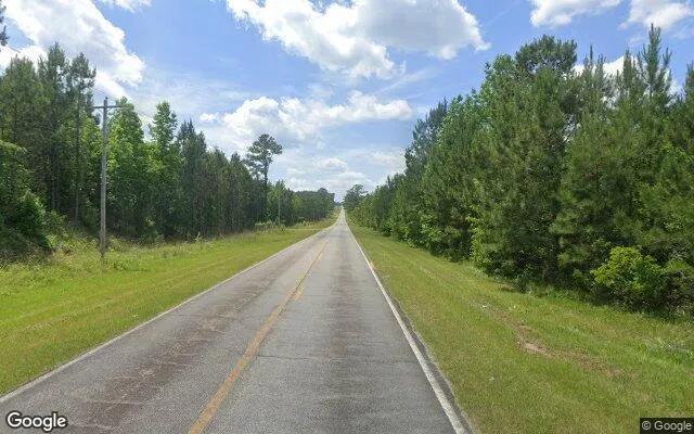 Decorative background for 127.52 Acres in Dry Branch - Twiggs County, GA image 6