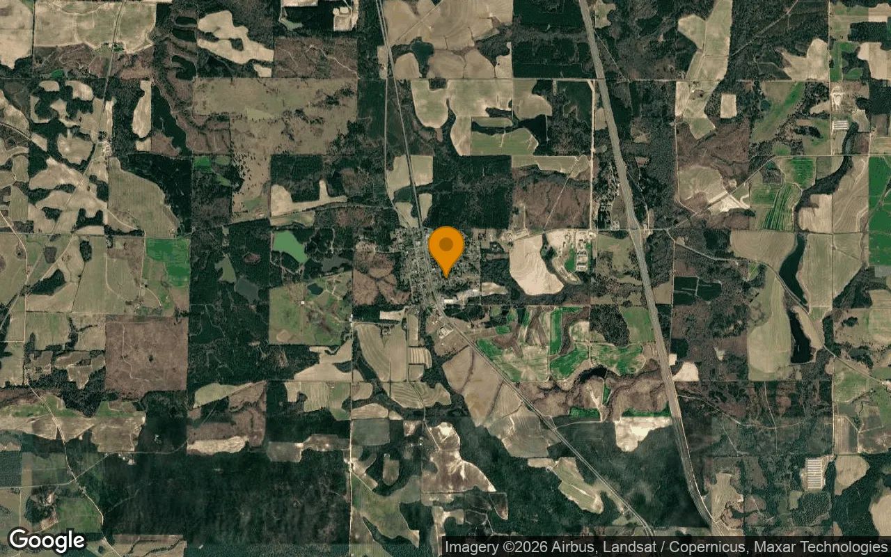 0.55 Acres in Arabi - Crisp County, GA in Crisp County, Georgia