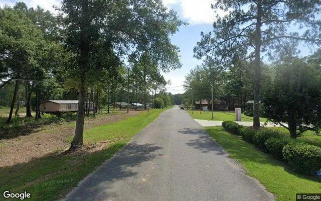 Decorative background for 0.55 Acres in Arabi - Crisp County, GA image 6