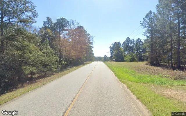 Decorative background for 0.61 Acres in Louisville - Jefferson County, GA image 5
