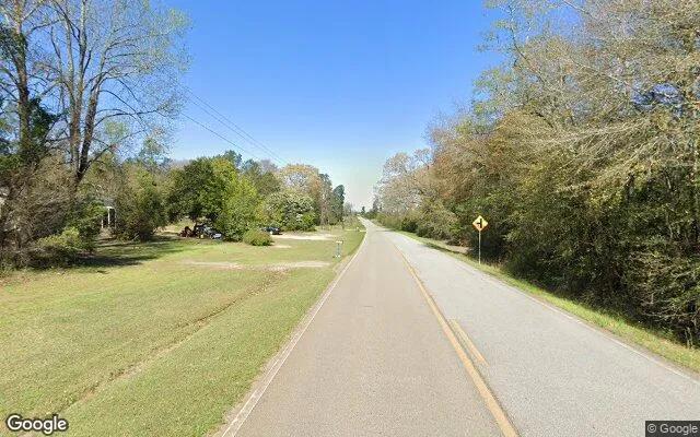 Decorative background for 0.61 Acres in Louisville - Jefferson County, GA image 6