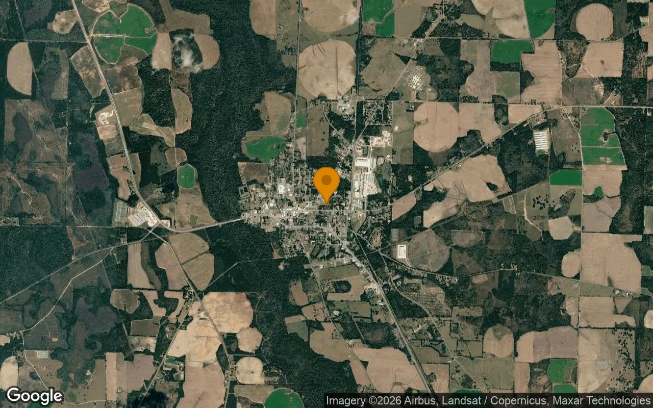 0.56 Acres in Colquitt - Miller County, GA - Image 3