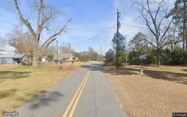 Decorative background for 0.56 Acres in Colquitt - Miller County, GA image 6