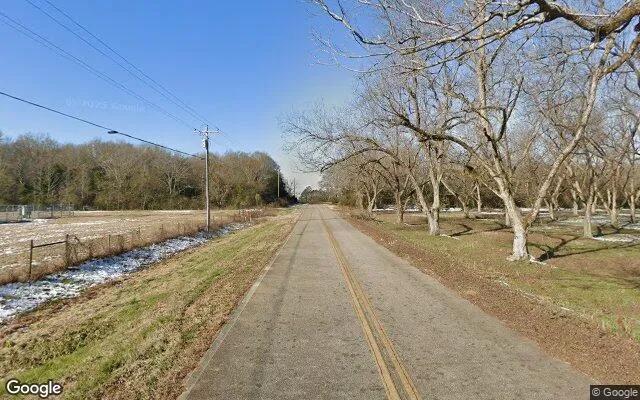 Decorative background for 34.69 Acres in Richland - Stewart County, GA image 5