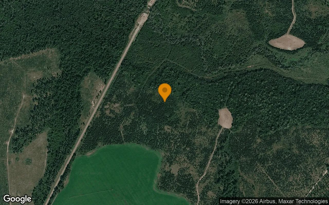 125.12 Acres in Ashburn - Turner County, GA in Turner County, Georgia