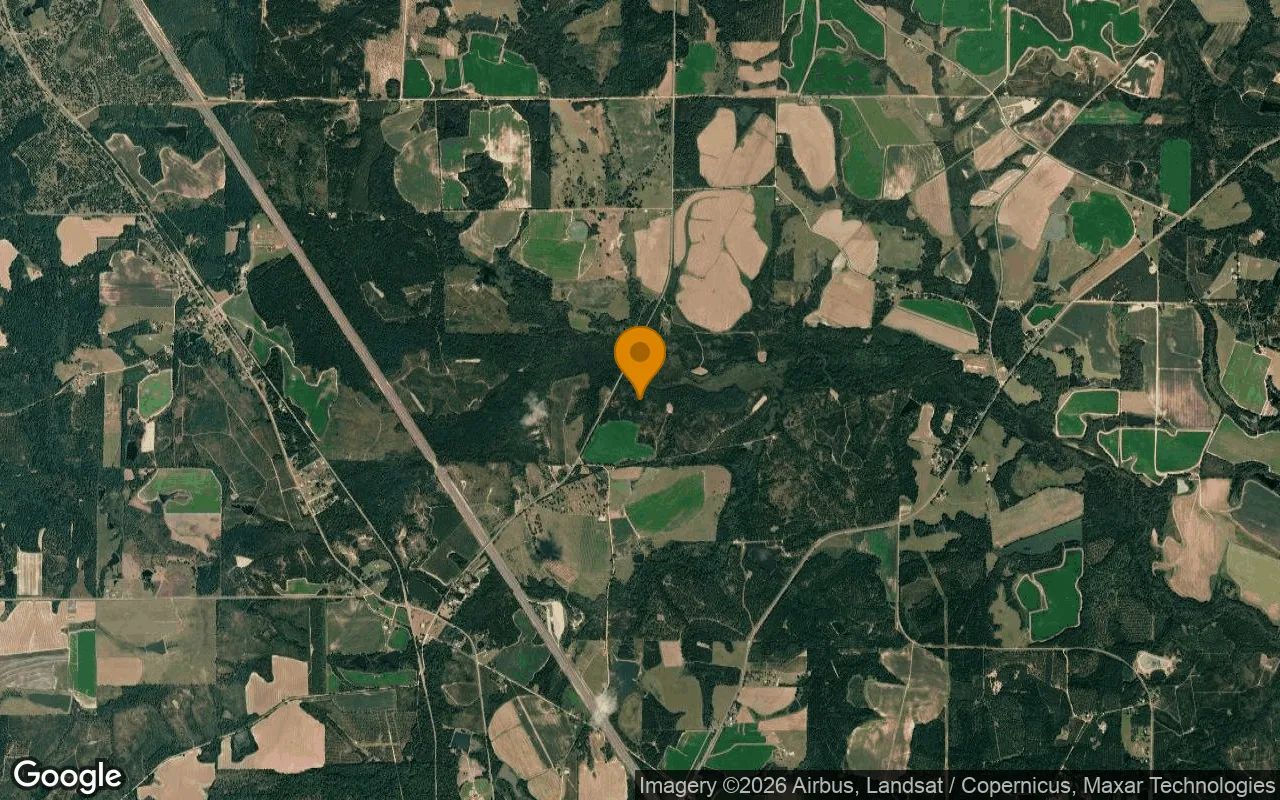 125.12 Acres in Ashburn - Turner County, GA in Turner County, Georgia