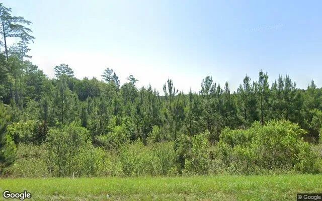 125.12 Acres in Ashburn - Turner County, GA in Turner County, Georgia