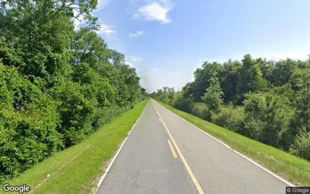 Decorative background for 125.12 Acres in Ashburn - Turner County, GA image 5