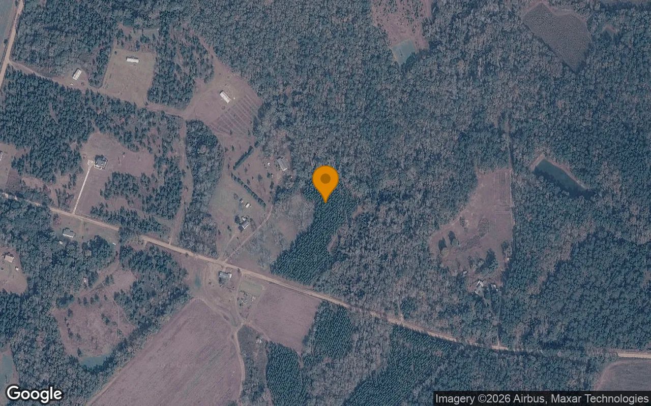 15.35 Acres in Eastman - Pulaski County, GA in Pulaski County, Georgia