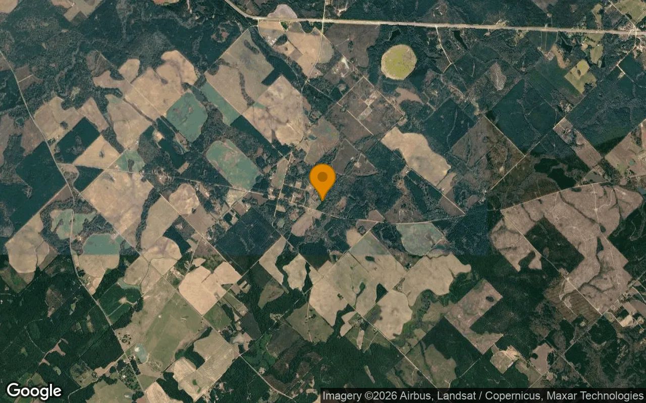 15.35 Acres in Eastman - Pulaski County, GA in Pulaski County, Georgia