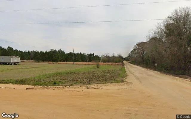15.35 Acres in Eastman - Pulaski County, GA - Image 4