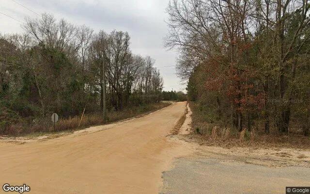 Decorative background for 15.35 Acres in Eastman - Pulaski County, GA image 6