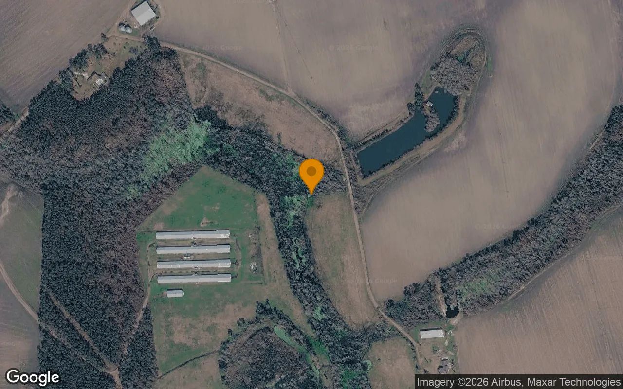 35.47 Acres in Willacoochee - Atkinson County, GA in Atkinson County, Georgia