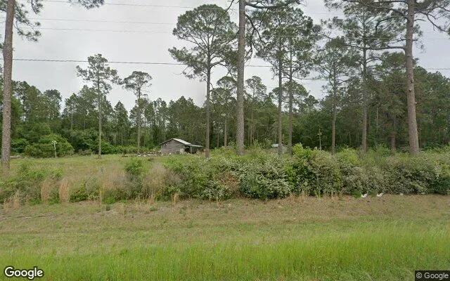35.47 Acres in Willacoochee - Atkinson County, GA - Image 4