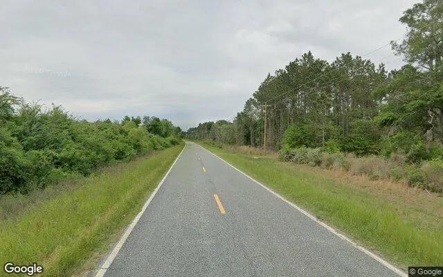 Decorative background for 35.47 Acres in Willacoochee - Atkinson County, GA image 5