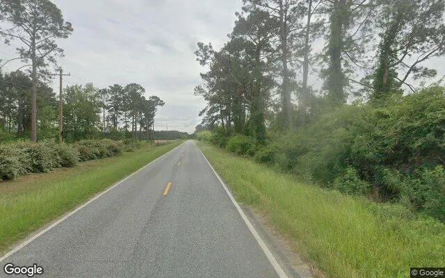 Decorative background for 35.47 Acres in Willacoochee - Atkinson County, GA image 6
