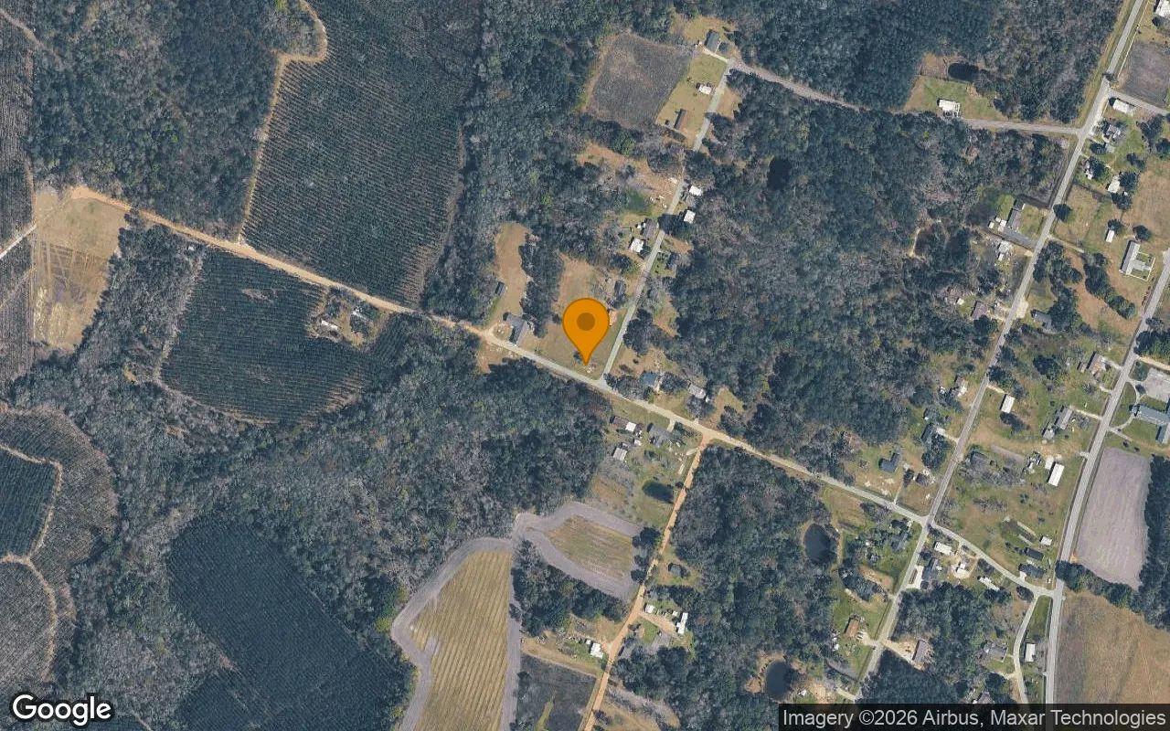 0.12 Acres in Surrency - Appling County, GA in Appling County, Georgia