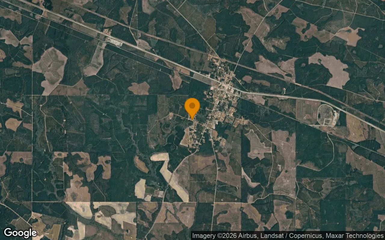 0.12 Acres in Surrency - Appling County, GA in Appling County, Georgia