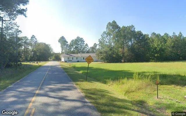 Decorative background for 0.12 Acres in Surrency - Appling County, GA image 5