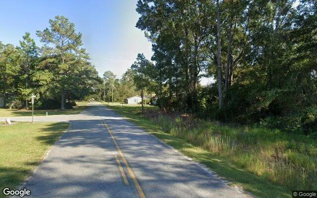 Decorative background for 0.12 Acres in Surrency - Appling County, GA image 6