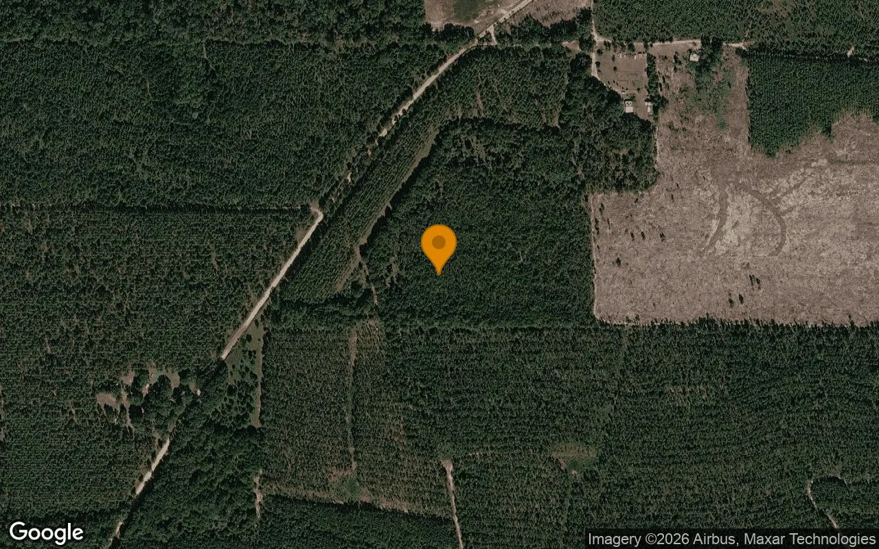 125.16 Acres in Preston - Webster County, GA in Webster County, Georgia
