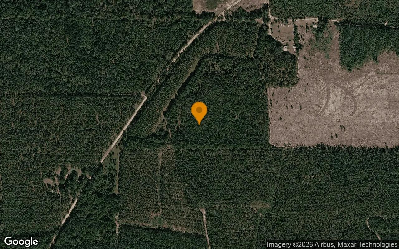 125.16 Acres in Preston - Webster County, GA - Main image