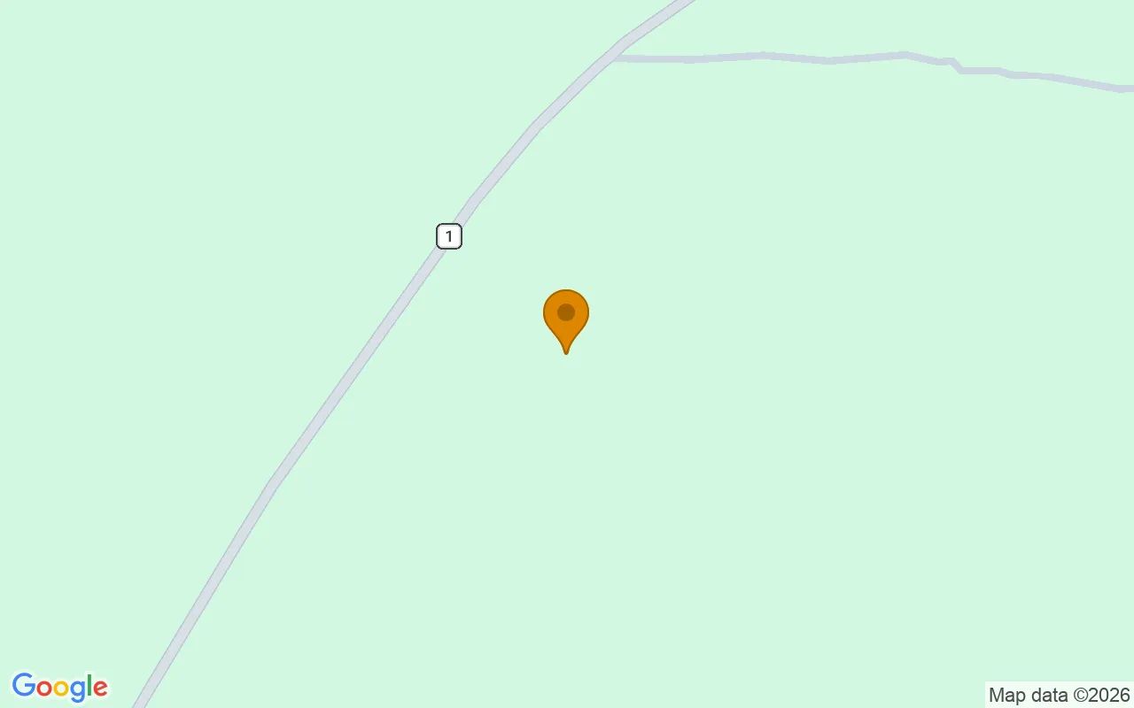 125.16 Acres in Preston - Webster County, GA in Webster County, Georgia