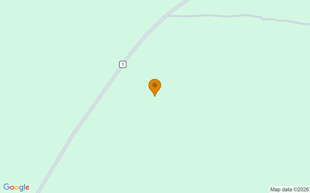 125.16 Acres in Preston - Webster County, GA - Image 2
