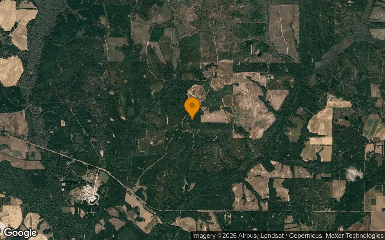 125.16 Acres in Preston - Webster County, GA in Webster County, Georgia