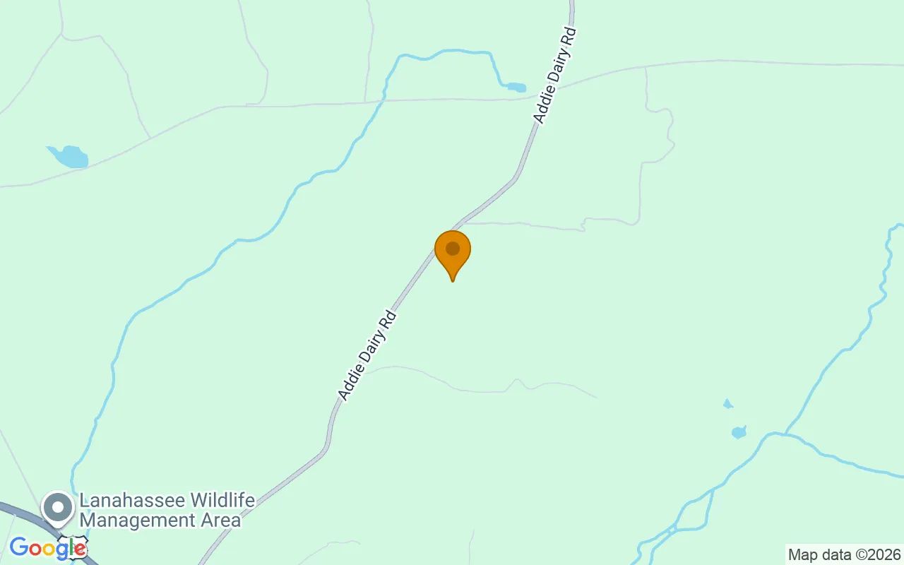 125.16 Acres in Preston - Webster County, GA in Webster County, Georgia