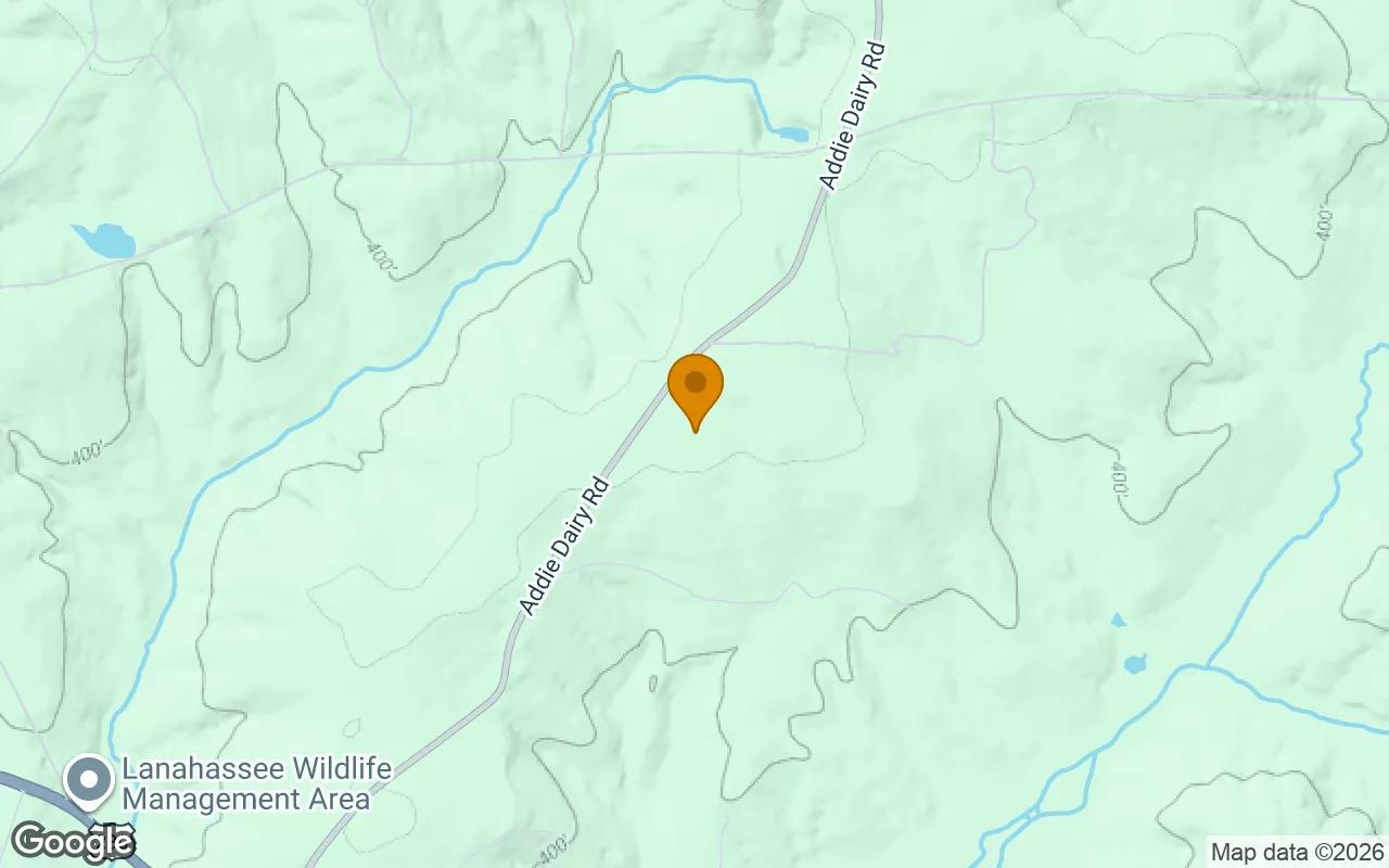 Decorative background for 125.16 Acres in Preston - Webster County, GA image 5