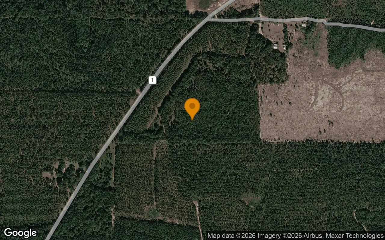 Decorative background for 125.16 Acres in Preston - Webster County, GA image 6