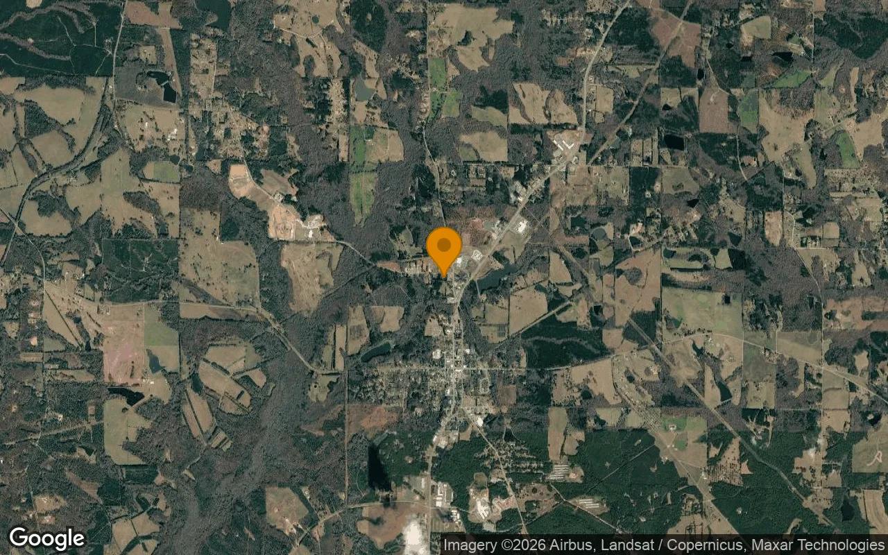 0.53 Acres in Williamson - Pike County, GA - Image 3
