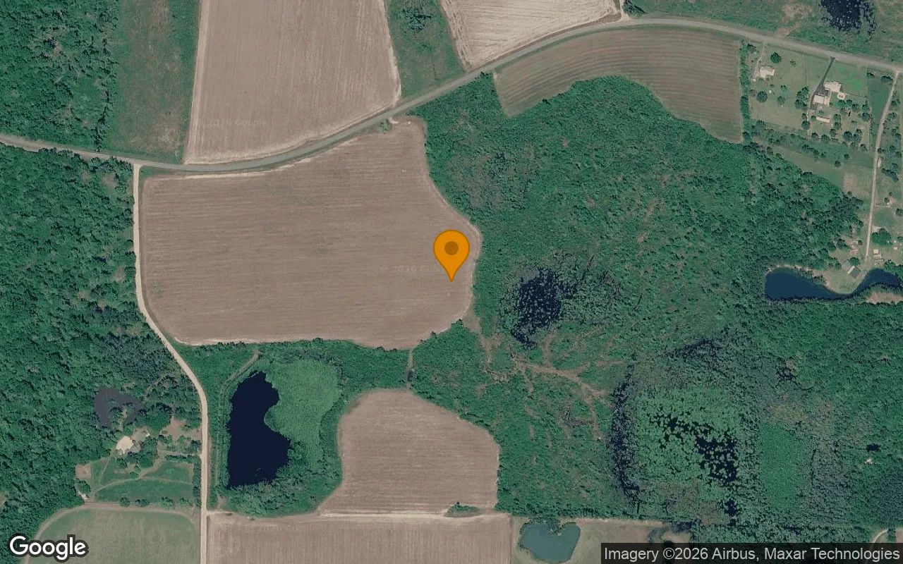125.04 Acres in Lenox - Cook County, GA in Cook County, Georgia