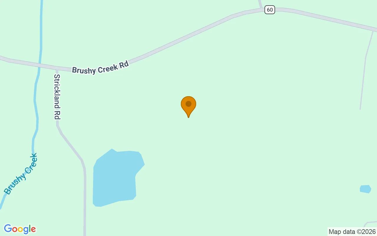 125.04 Acres in Lenox - Cook County, GA in Cook County, Georgia