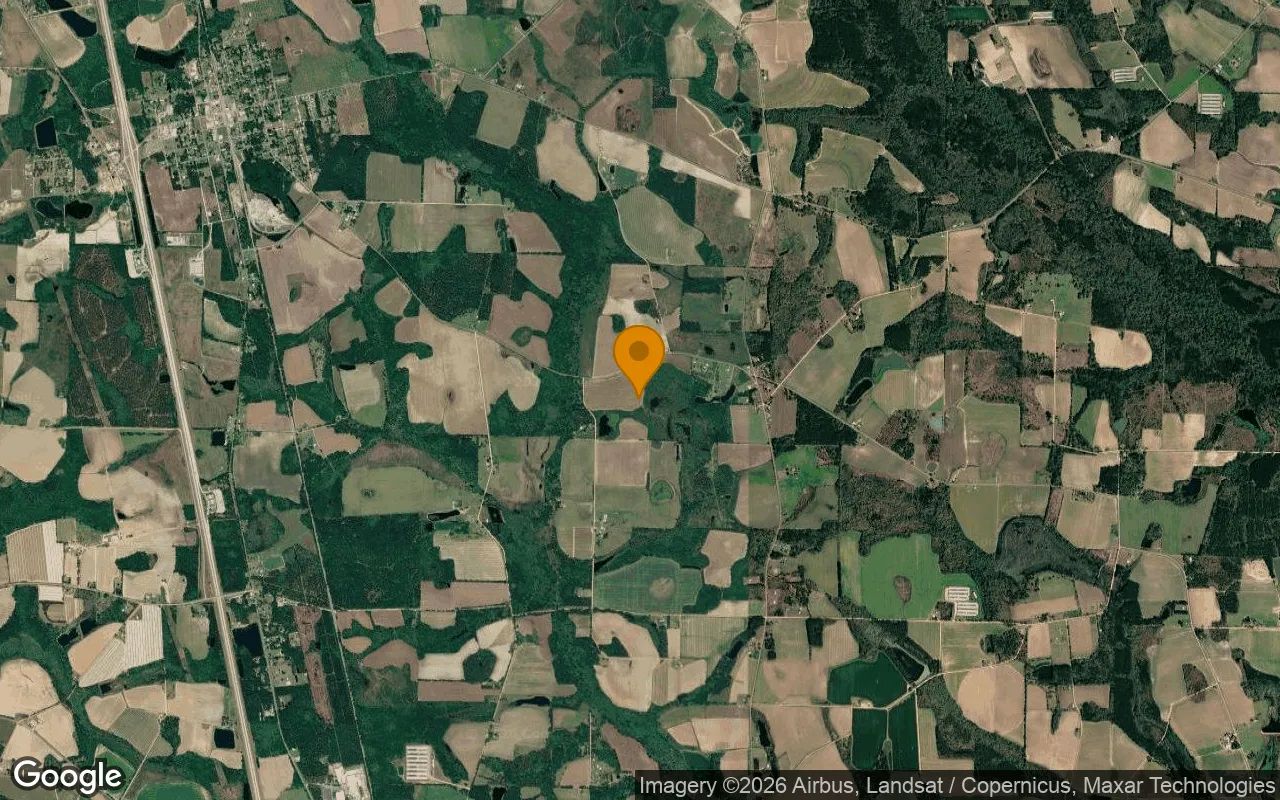 125.04 Acres in Lenox - Cook County, GA in Cook County, Georgia
