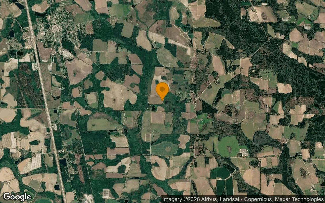 125.04 Acres in Lenox - Cook County, GA - Image 3