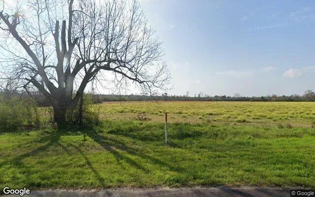125.04 Acres in Lenox - Cook County, GA - Image 4