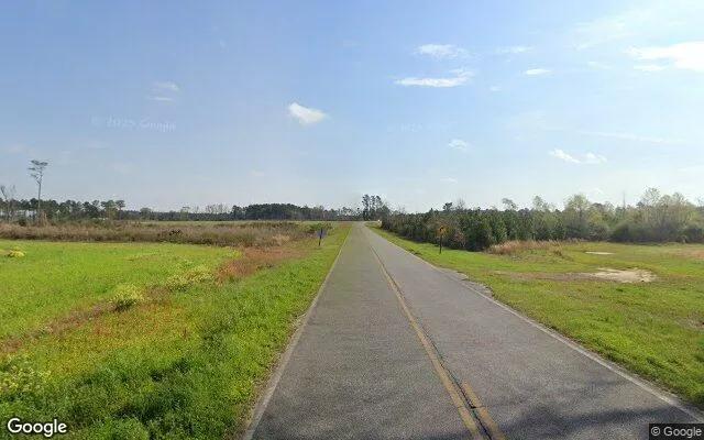 Decorative background for 125.04 Acres in Lenox - Cook County, GA image 5