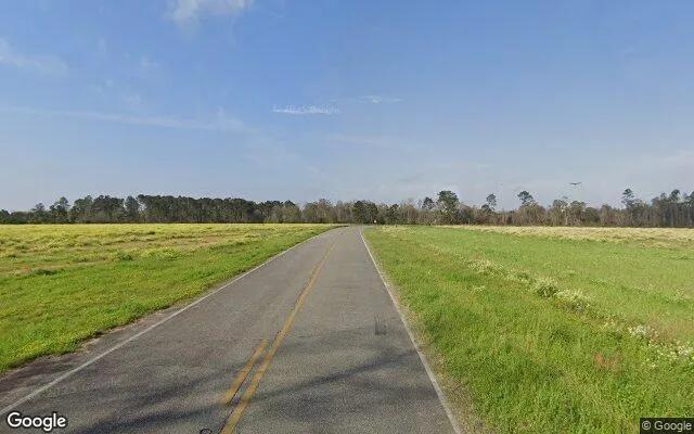 Decorative background for 125.04 Acres in Lenox - Cook County, GA image 6