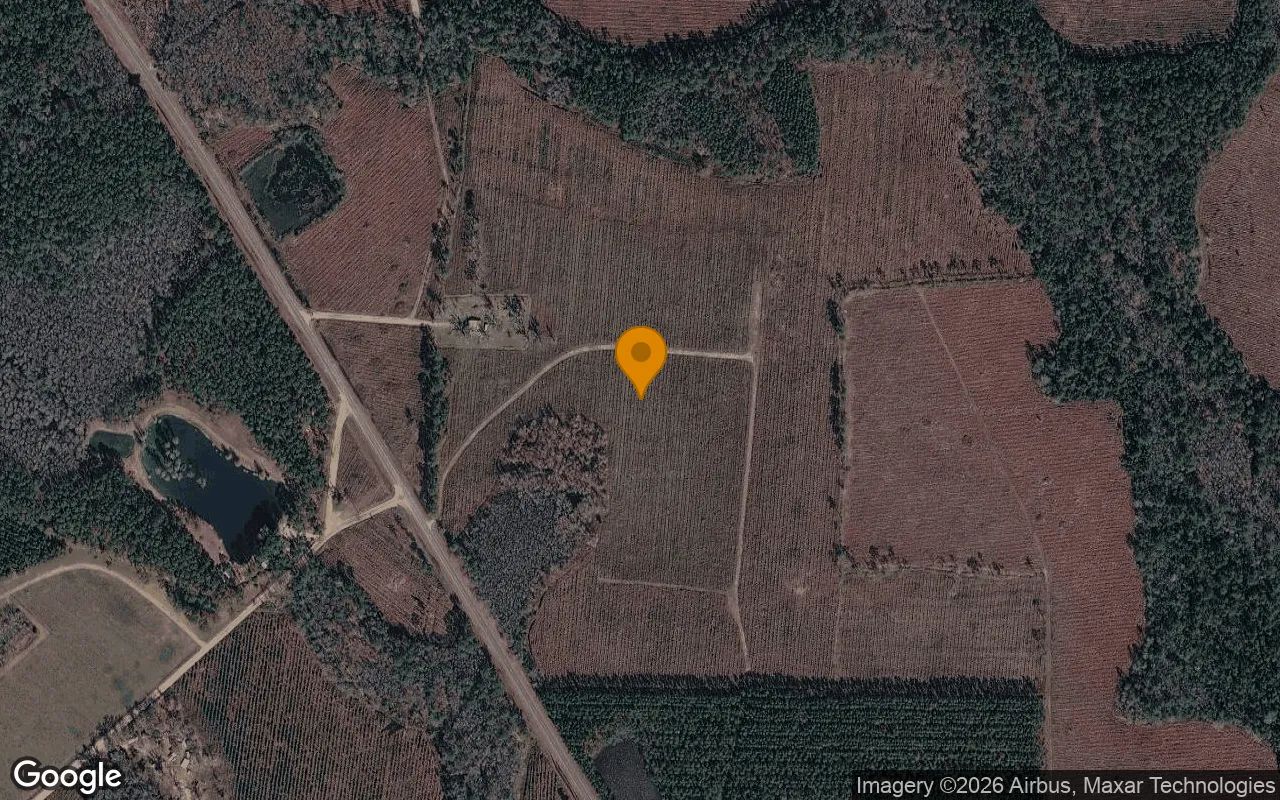 74.58 Acres in Homerville - Clinch County, GA in Clinch County, Georgia