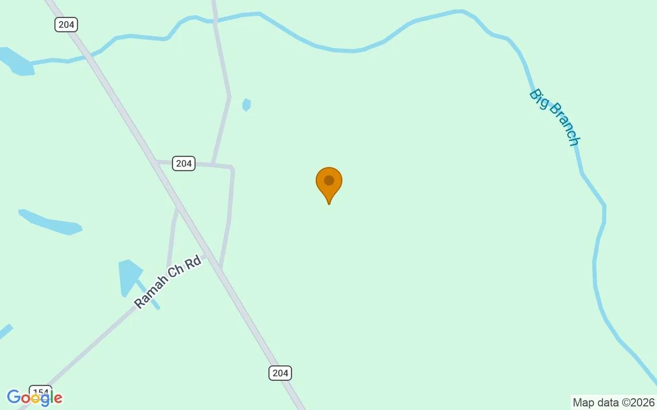 74.58 Acres in Homerville - Clinch County, GA - Image 2