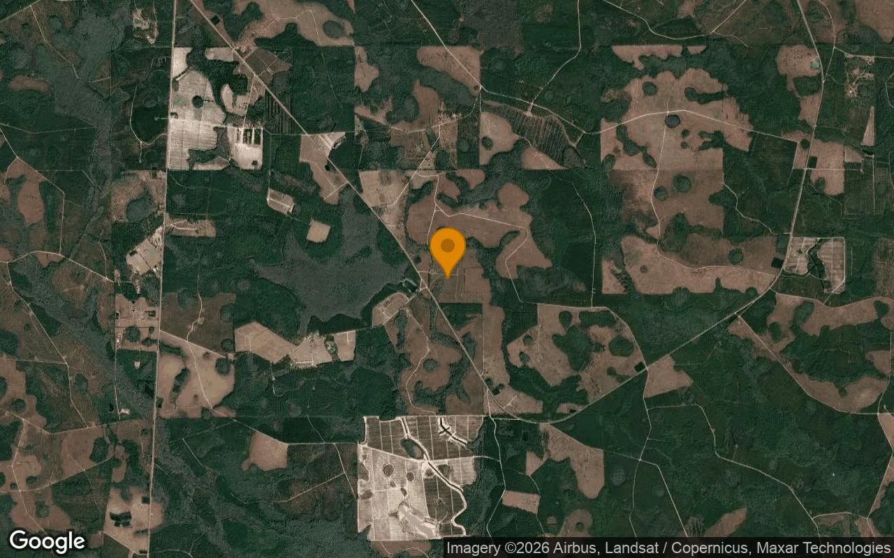 74.58 Acres in Homerville - Clinch County, GA in Clinch County, Georgia